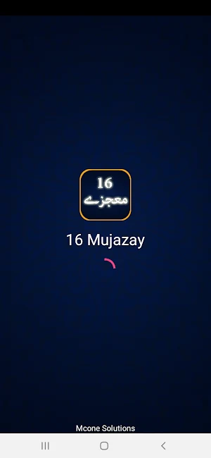 16 Mojzay Urdu Screenshot 3