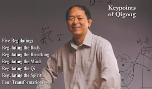 Qigong Keypoints Video Lesson Screenshot 0