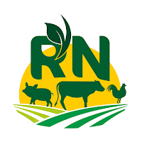 Rural Noar