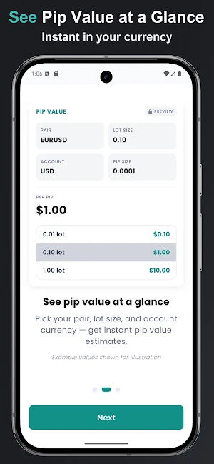 Forex Pip Value Calculator Screenshot 3