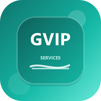 Go Vip Services