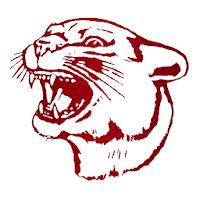 South Decatur Athletics - Indiana