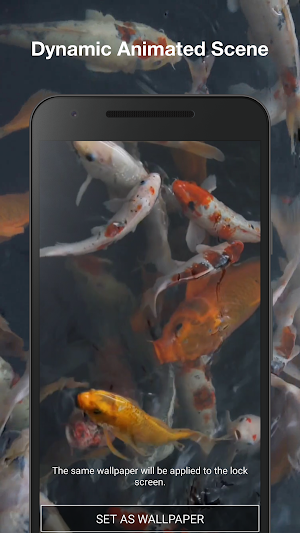 Real Aquarium Live Wallpaper Screenshot 1