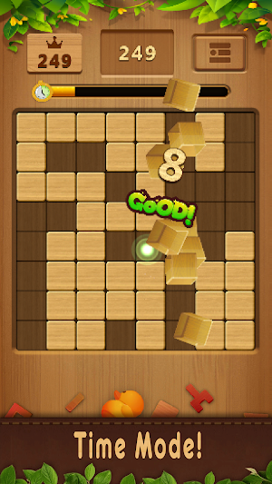 Wood Blocks Puzzle Game Screenshot 3