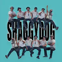 Reggae Shaggydog Full Offline