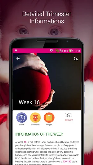 Pregnancy Tracker : Baby Stages, Calendar & Guide Screenshot 2