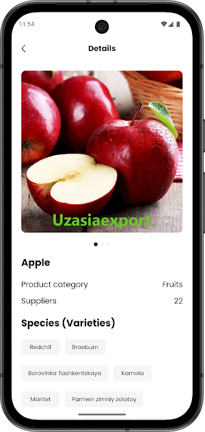 UzAsiaExport Screenshot 2