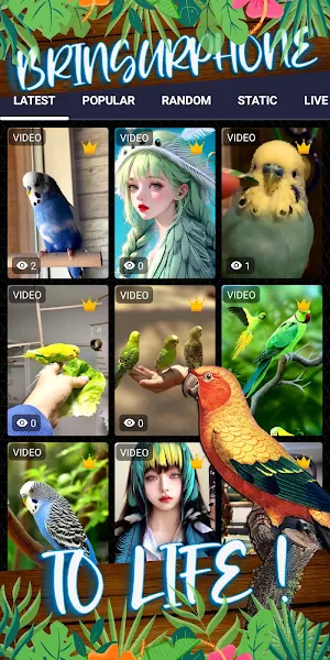 parakeet wallpaper Screenshot 1