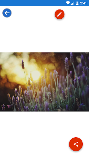 Cactus, Iris, Lavender, Lilac  Screenshot 3