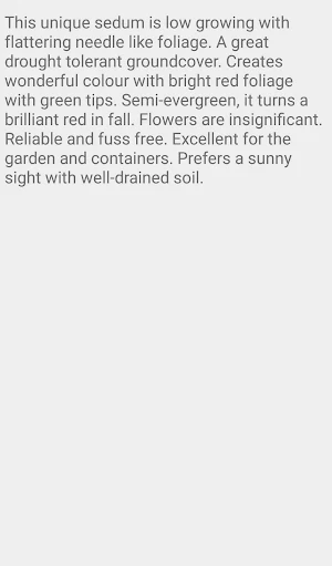 Sedum Red Wiggle Screenshot 1