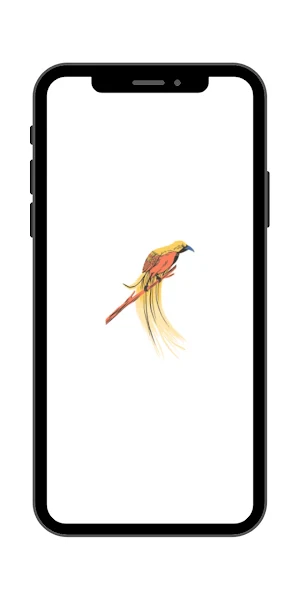 Burung Cendrawasih Wallpaper Screenshot 2
