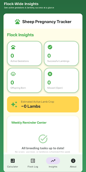 Sheep Pregnancy Calculator Screenshot 3