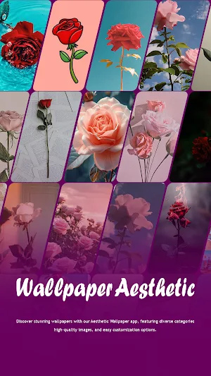AesWall | Cute Aesthetic Walls Screenshot 3