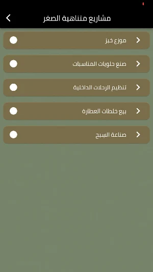 مشاريع ناجحة ومربحة Screenshot 2