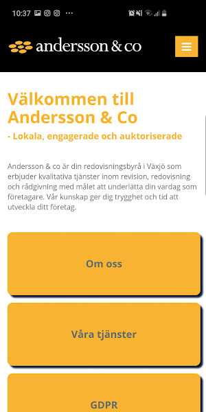Andersson & Co Screenshot 3