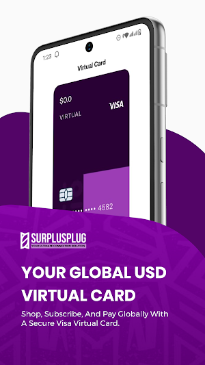 Surplusplug Screenshot 2