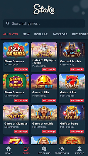 Stake Casino Screenshot 3
