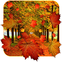 Fall Live Wallpaper