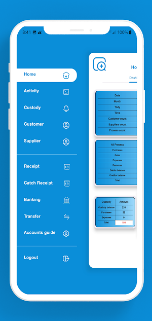 ProAccountant - professional Screenshot 0