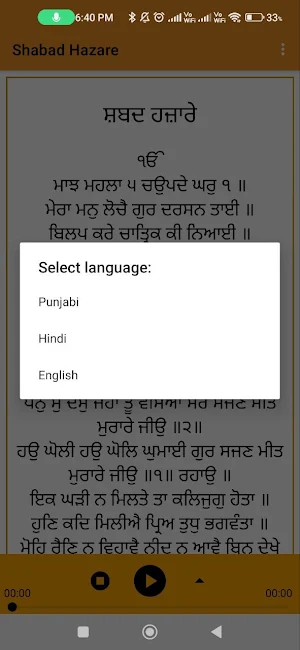 Shabad Hazare Screenshot 1