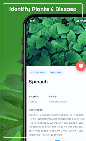 Plant Identifier by Picture Screenshot 3