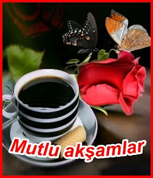 Mutlu akşamlar Screenshot 0