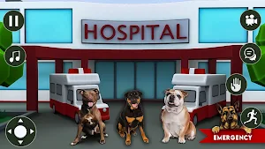 Animal Shelter 3D Rescue Game Screenshot 3