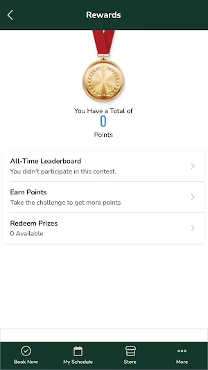 EneRay Screenshot 3
