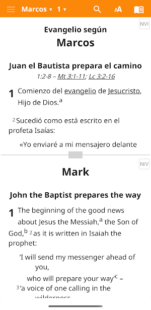 NVI Castellano Screenshot 1