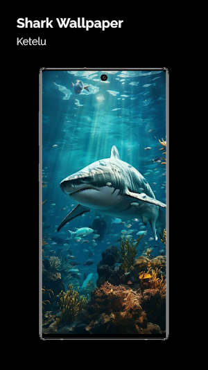 Shark Wallpaper Screenshot 3
