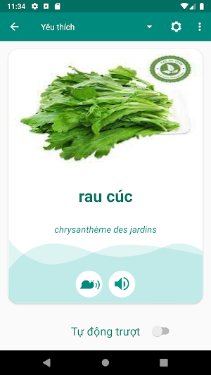 Vietnamese French Dictionary Screenshot 2