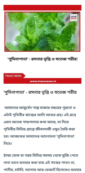 Travo News Screenshot 2