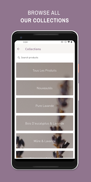 Maison Lavande Screenshot 2