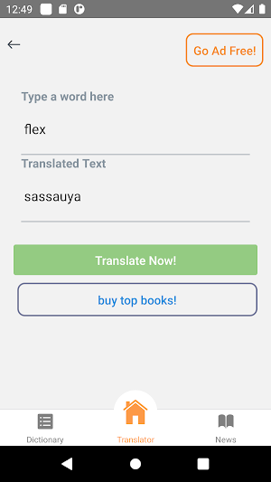 Nigerian English Translator Screenshot 3