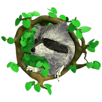 Raccoon vs Dog