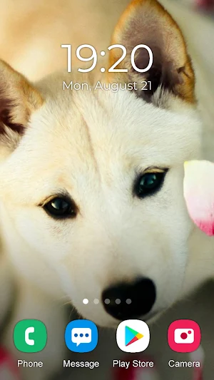 Husky Dog Wallpaper 2023 Screenshot 3