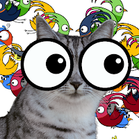 Games for cats