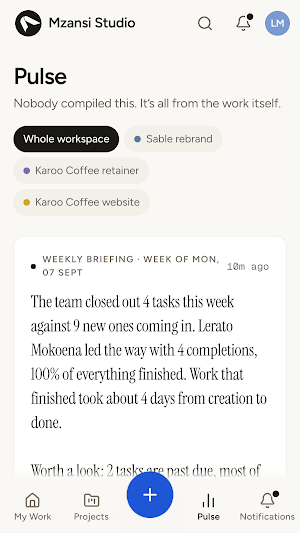 Alpha Workspace Screenshot 2