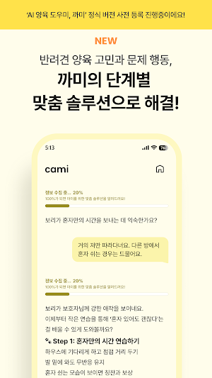CAMI Screenshot 2