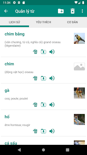 Vietnamese French Dictionary Screenshot 3