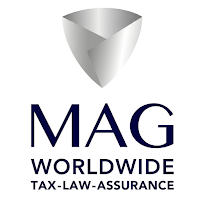 MAG AM CONSULTORES