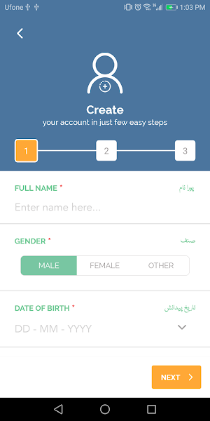 Pakistan Citizen Portal Screenshot 3