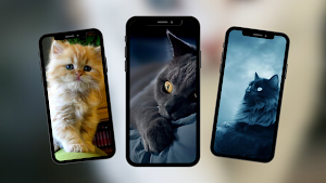 Cats Wallpaper Screenshot 1