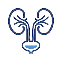 Ultrasound Urinary Tract