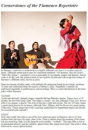 Flamenco Guitar Tutorial Screenshot 3