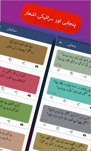 Urdu Saraiki Punjabi Peotry Screenshot 3