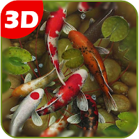 Koi Fish Live Wallpaper 3D