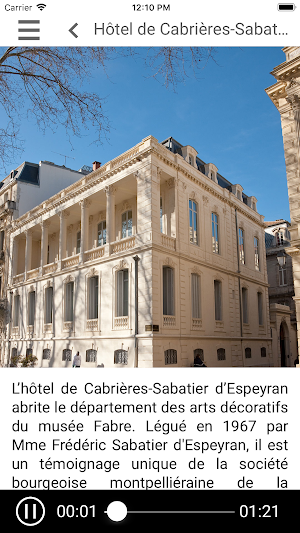 Hôtel Sabatier d’Espeyran Screenshot 3