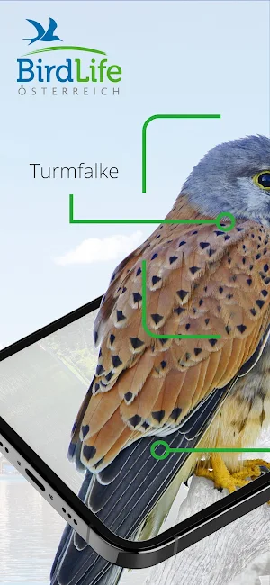 Vögel in Österreich Screenshot 0