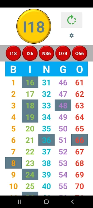 Bingo Caller Screenshot 2